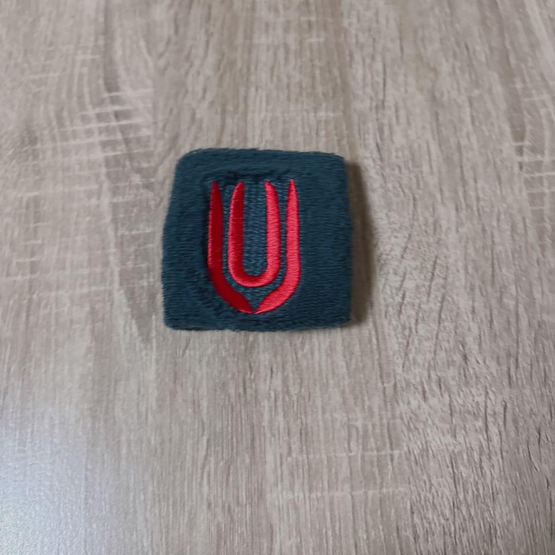 UNISON SQUARE GARDEN リストバンド