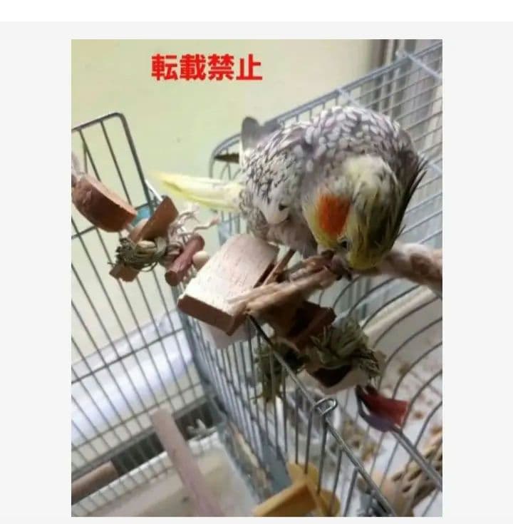 C342　インコ　オオム　カジカジ、ガジガジおもちゃセット　かじり木