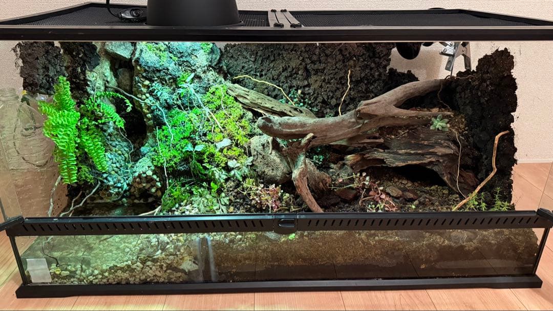 ビバリウム、テラリウム