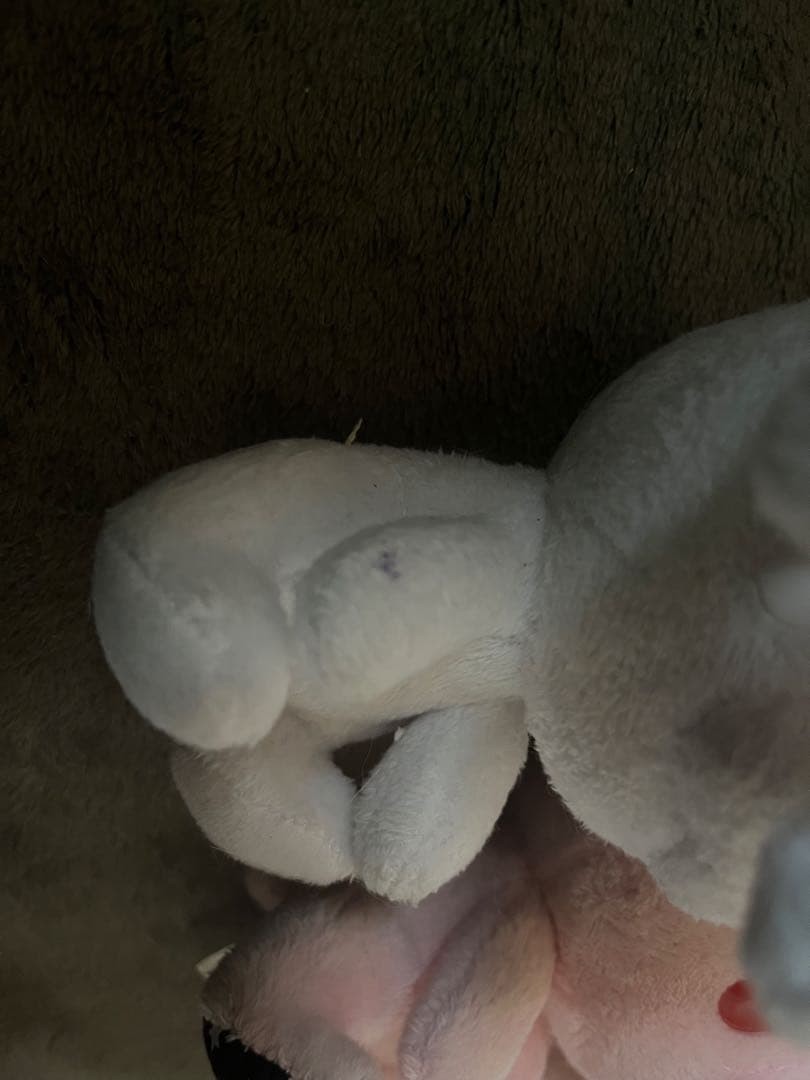 汎用うさぎ 10体セット