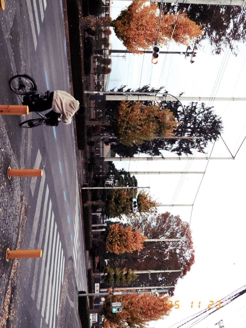 Fujifilm X-HALF 本体とSmallRigアクセサリー