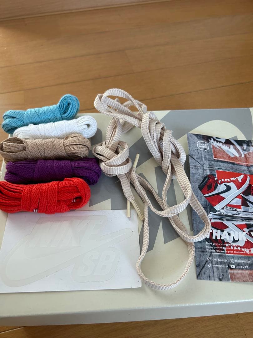 スケートボード Nike SB Dunk Low Pro QS 6 (US)