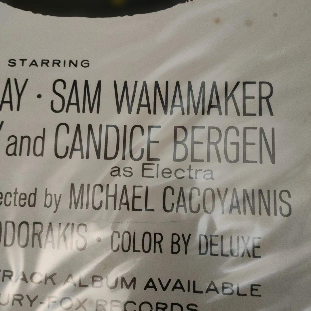 映画「魚が出てきた日」US版インサートサイズポスター