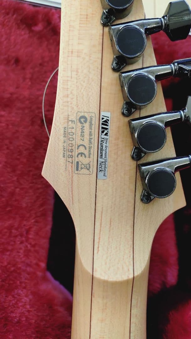 Ibanez ギター　RGD2120Z