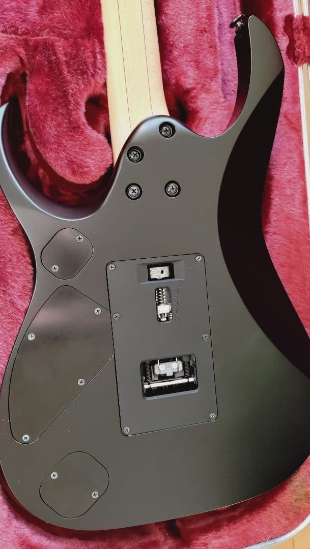 Ibanez ギター　RGD2120Z