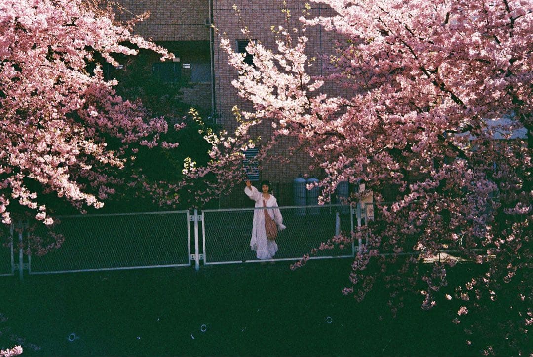 OLYMPUS μ[mju:] コンパクトカメラ（実際撮った例あり