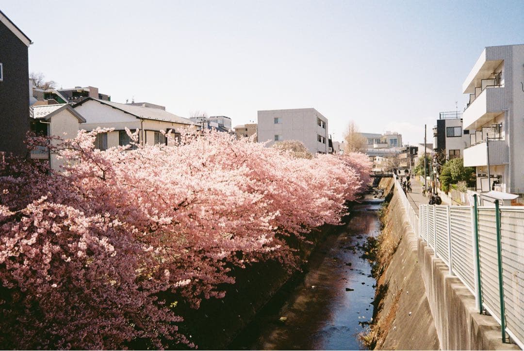 OLYMPUS μ[mju:] コンパクトカメラ（実際撮った例あり