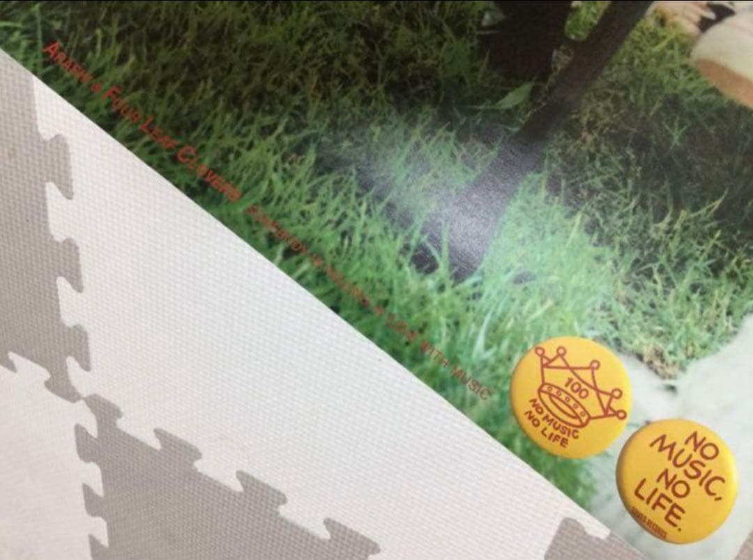 嵐　特大　ポスター　5大ドーム　ツアー　コンサート　解散　チケット　タワレコ