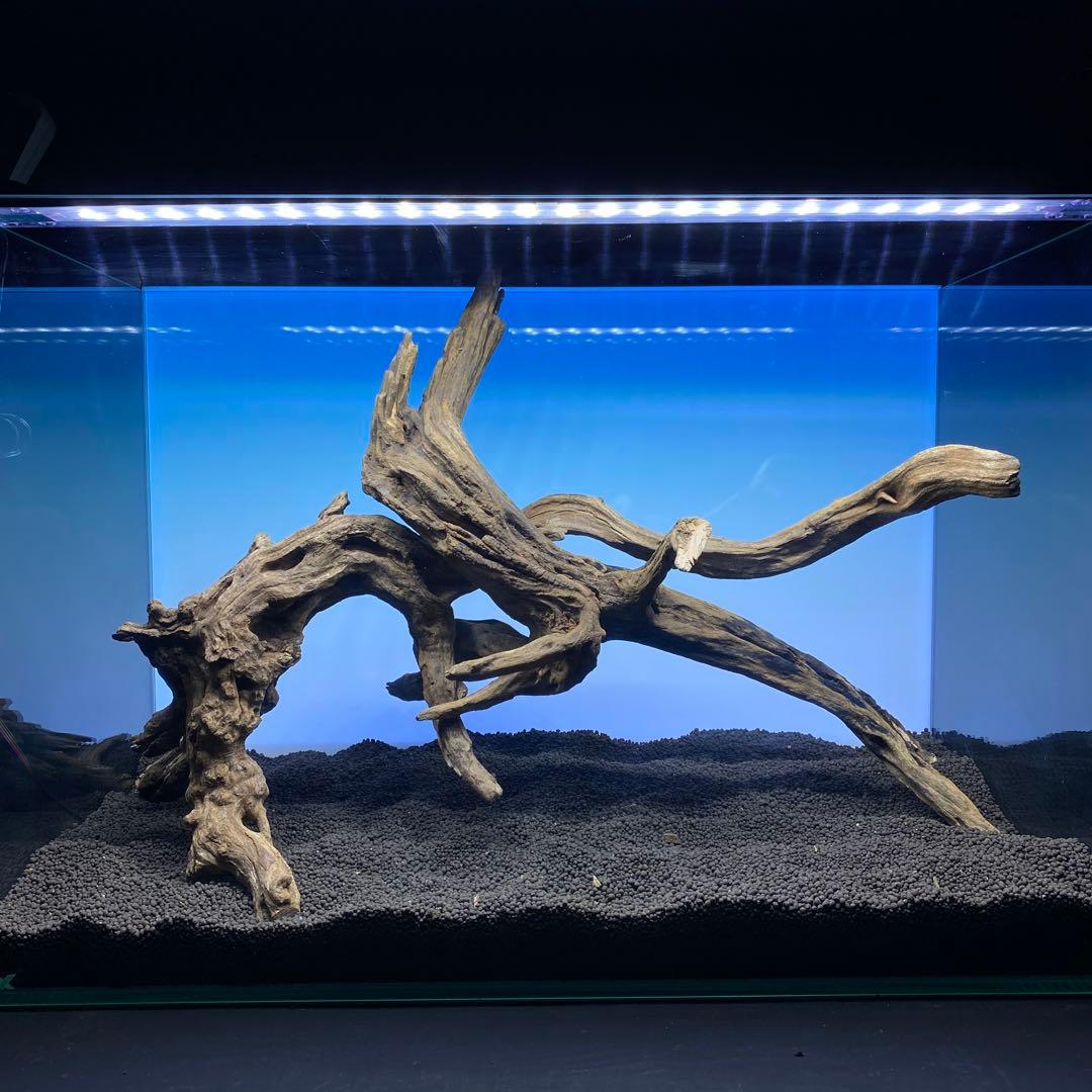 MSRW-6510 スリムウッド2本セット　60cm水槽用流木　アクアリウム