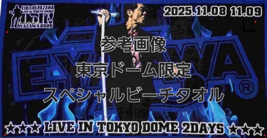 矢沢永吉　Do It !　東京ドーム限定　スペシャルビーチタオル