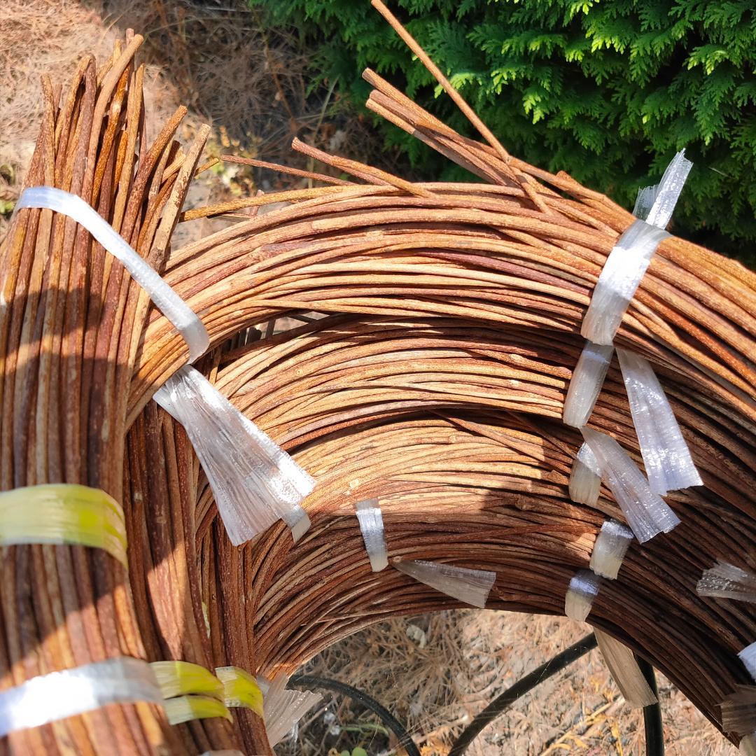 hkeplk　青森県岩木山採取　あけび蔓　70cm～150cm　5kg