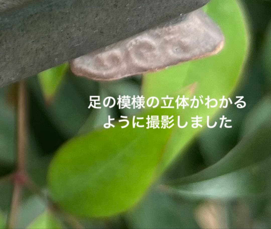 小品盆栽鉢　盆栽鉢　佑泉