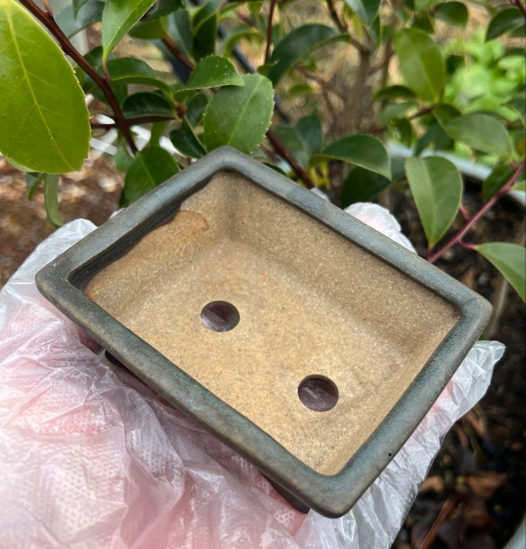 小品盆栽鉢　盆栽鉢　佑泉