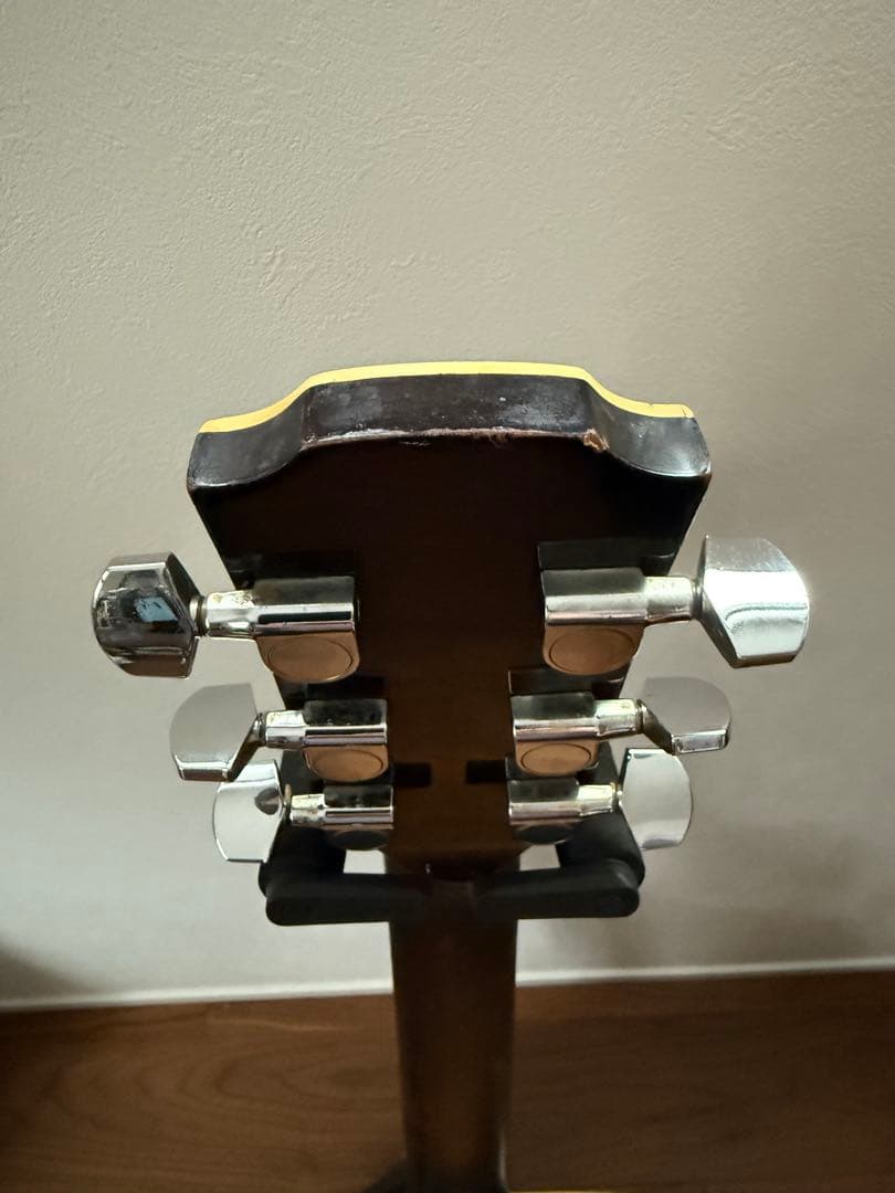 ★ Vester Maniac SAF-30 エレアコ ★