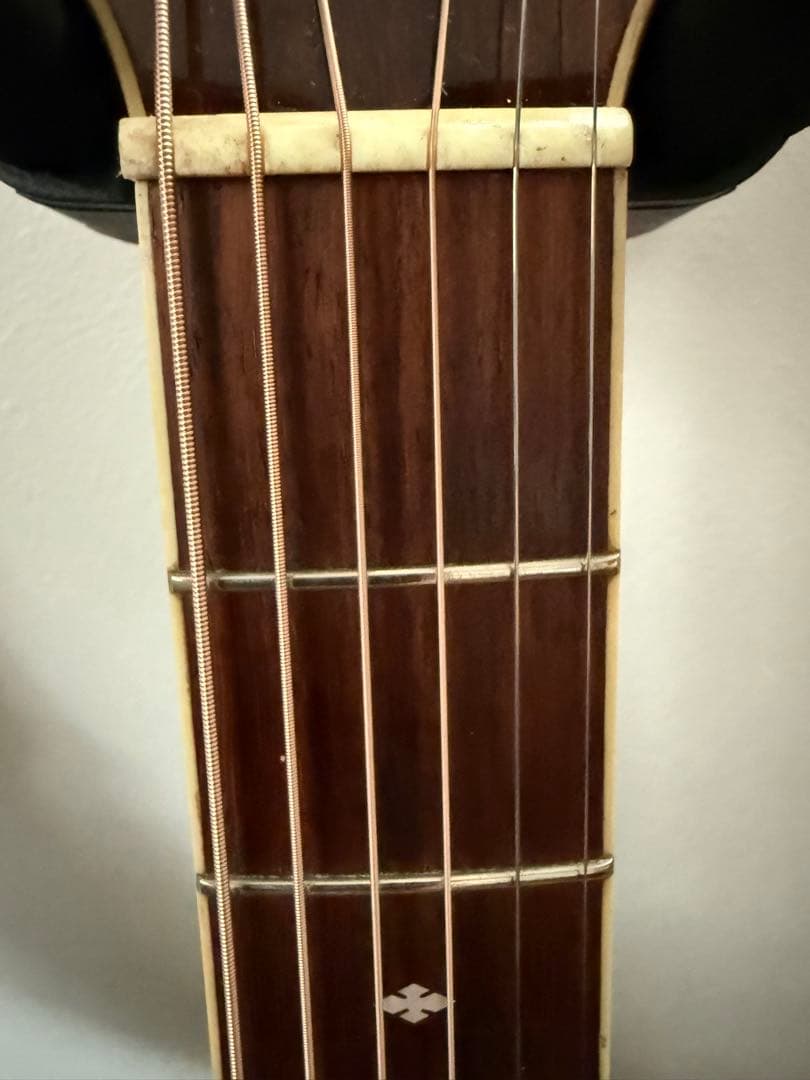 ★ Vester Maniac SAF-30 エレアコ ★