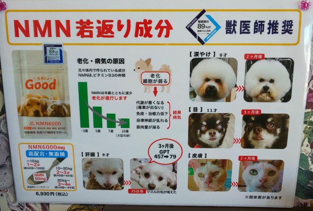 ！専用ページ！モアリッチ NMN6000 元気だよgood 犬猫