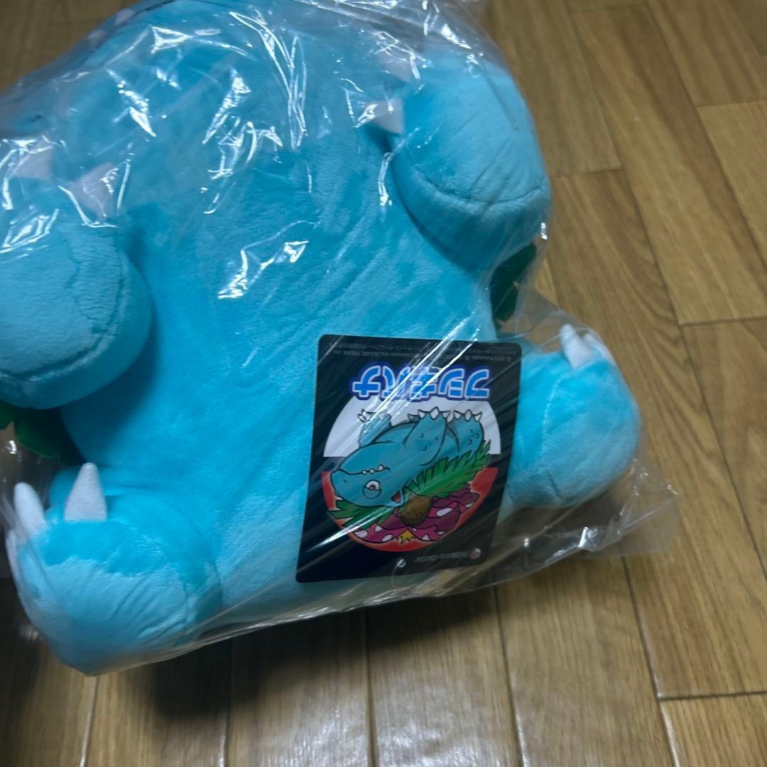 ポケモン BIG 大サイズ ぬいぐるみセット リザードン カメックス フシギバナ