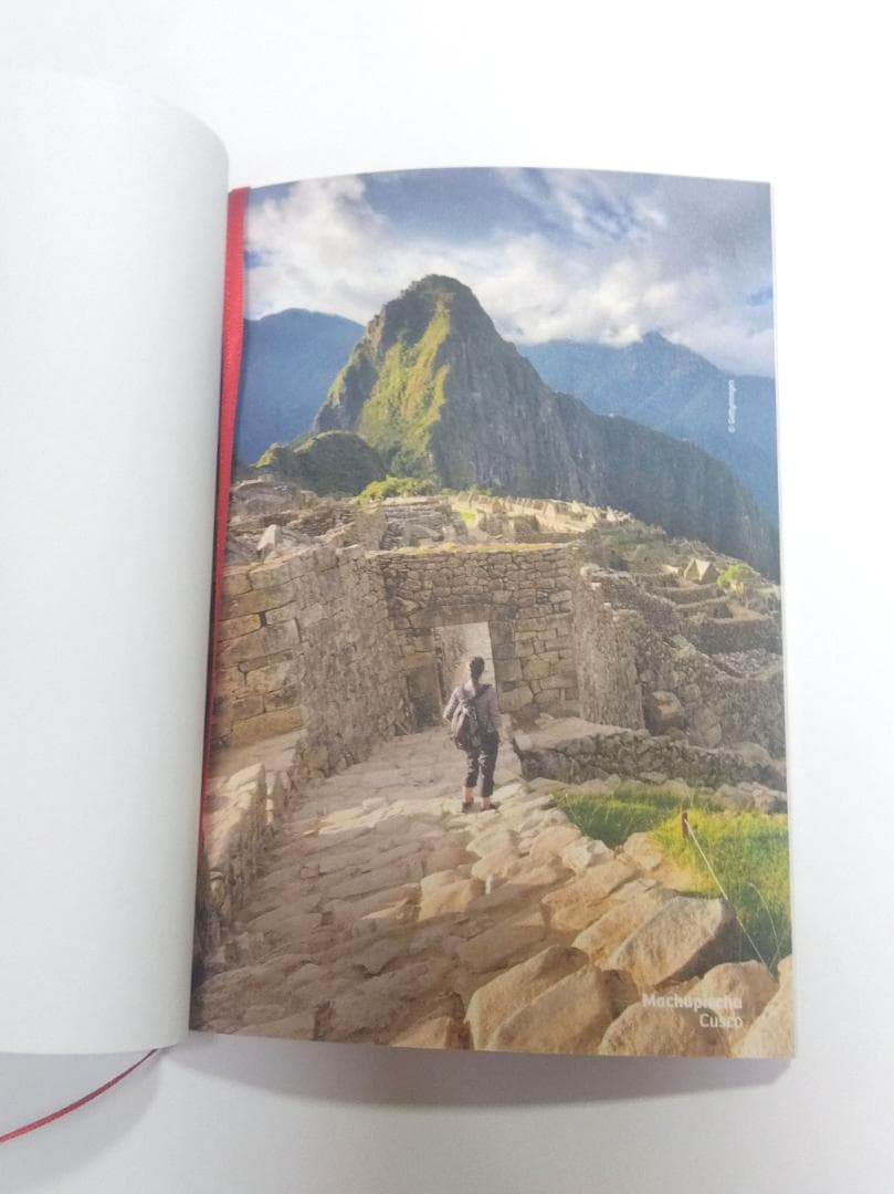 つ*ん様 2025大阪関西万博　ペルーパビリオン　ピンバッジ　非売品、フォトブッ