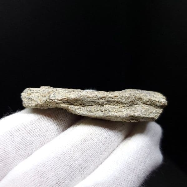 ティラノサウルス 化石 骨 本物 アメリカ産 54.80mm tb87