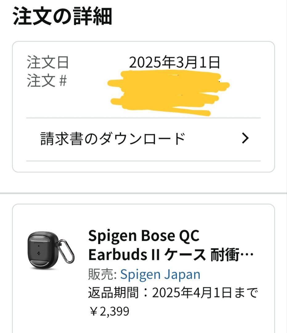 Bose QuietComfort Ultra Earbuds ルナブルー 美品