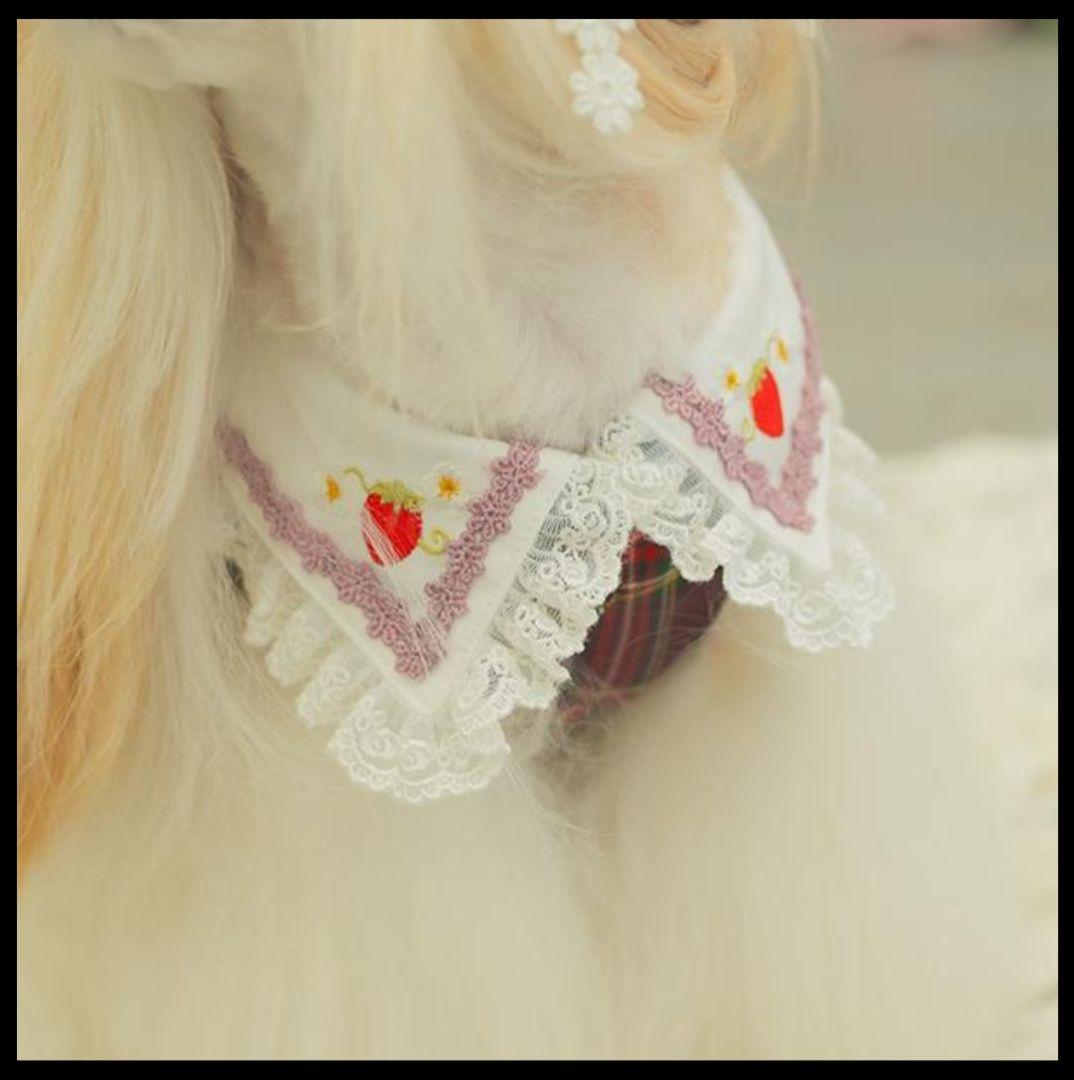 きゃんナナ　犬服　レトロいちごワンピースLサイズ