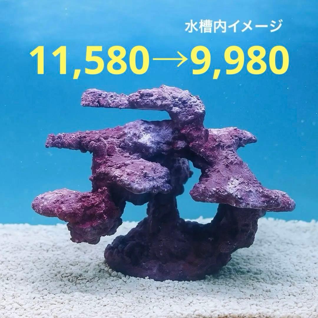 人工ライブロック　SHR24 アク抜き済み安心塗料使用