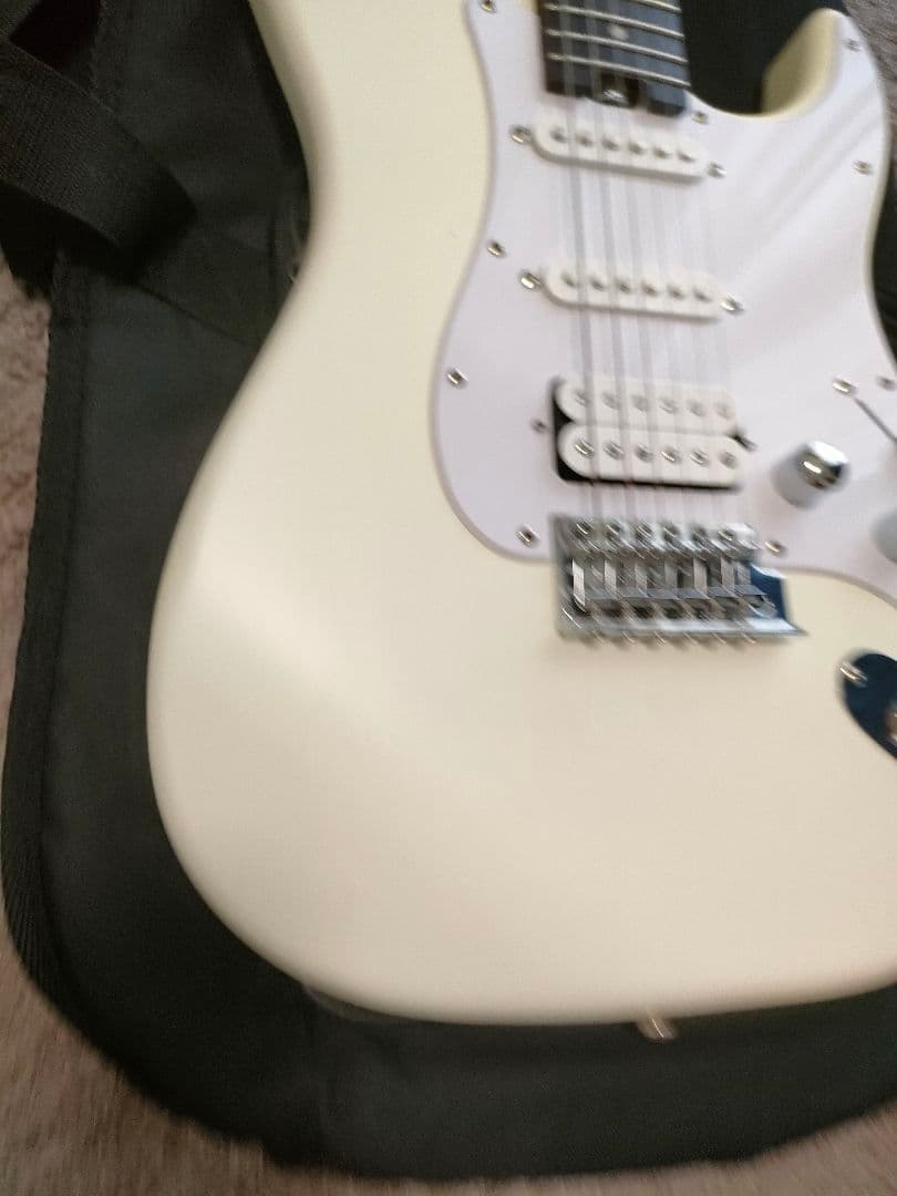 Bacchus SGS-ASH RSM　フレット90%以上 グローバルシリーズ