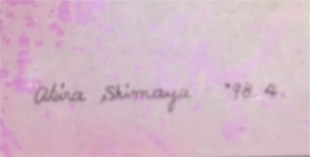 島谷晃 まぼろしの画家 「島谷晃の世界　鳥になった画家」