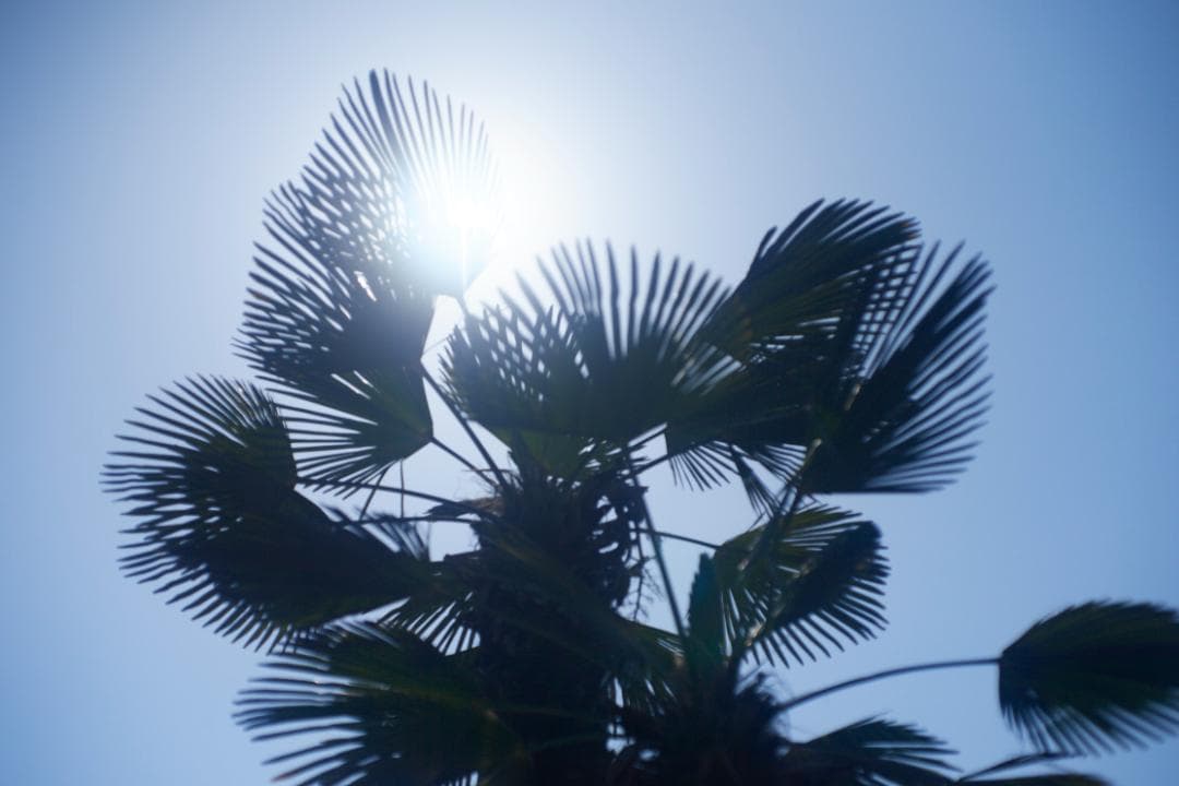 SMC PENTAX F1.4 /50mm KマウントL81