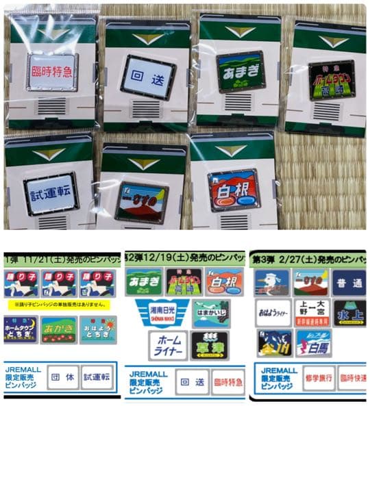 白根 特急 ホームタウン 高崎 あまぎ　新特急　なすの　回送　試運転　臨時特急