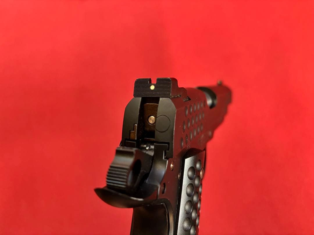 100 挺限定 KNIGHT HAWK custom ／WA