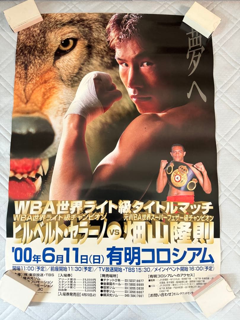 畑山隆則vsヒルベルトセラノ　世界ライト級タイトル戦ポスター