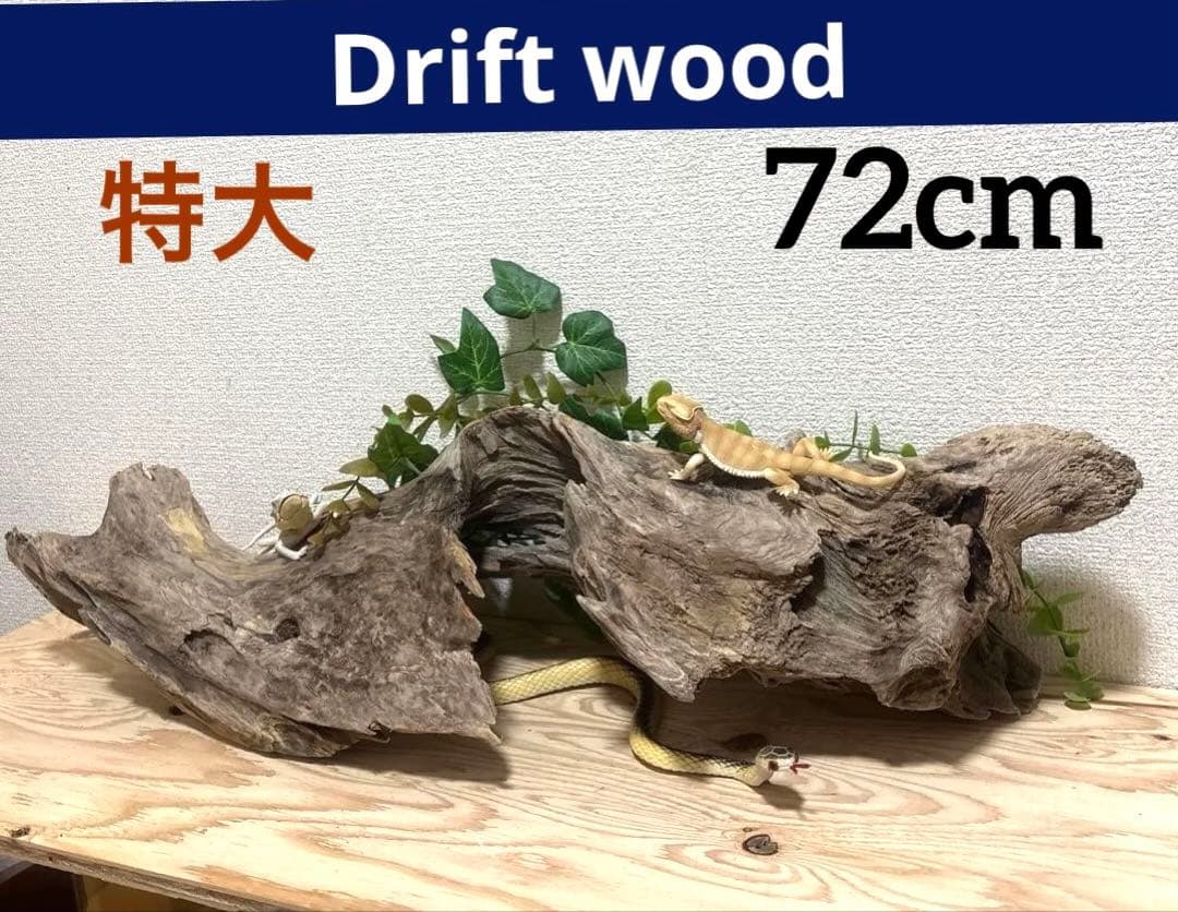 Ｇ67 流木　爬虫類　両生類シェルター　バスキング　観葉植物　インテリア　その他