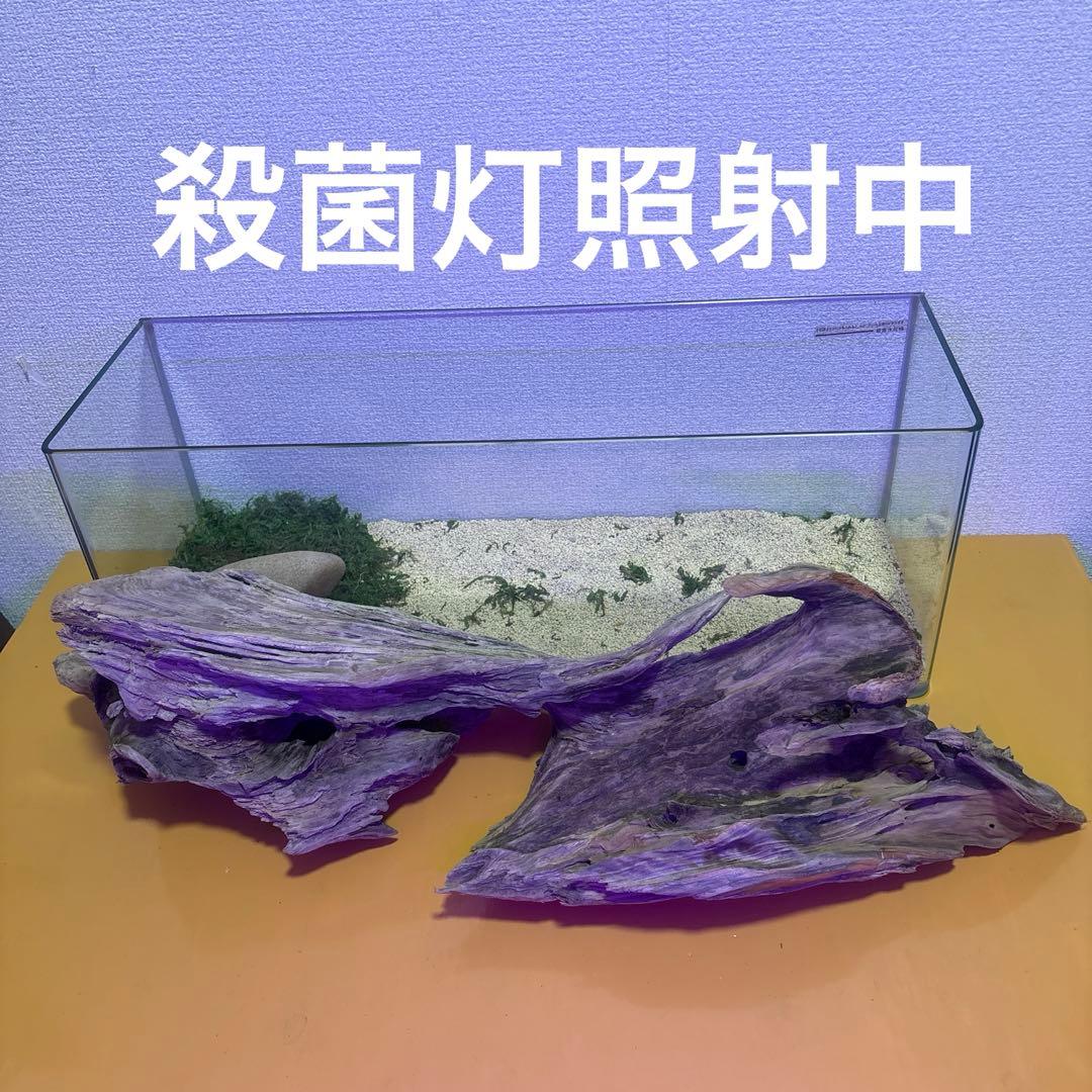 Ｇ67 流木　爬虫類　両生類シェルター　バスキング　観葉植物　インテリア　その他