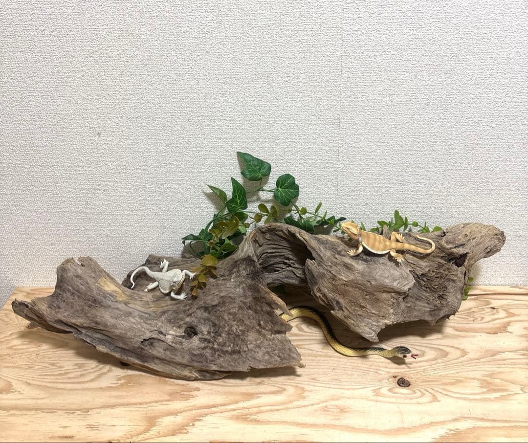 Ｇ67 流木　爬虫類　両生類シェルター　バスキング　観葉植物　インテリア　その他