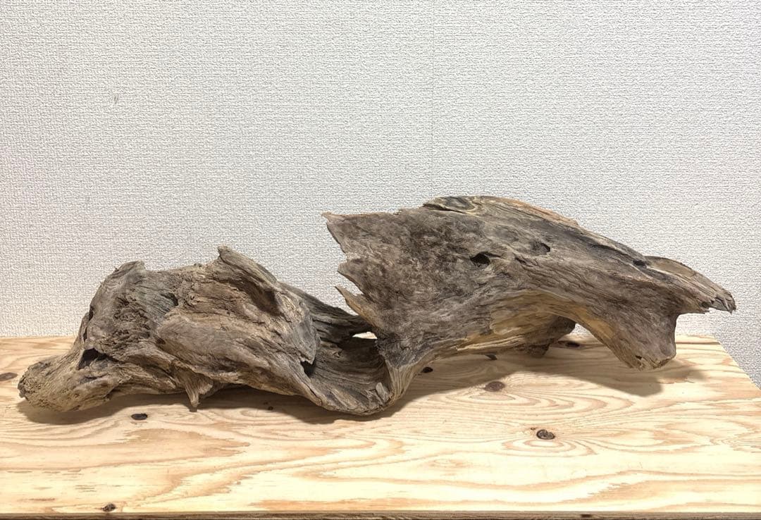 Ｇ67 流木　爬虫類　両生類シェルター　バスキング　観葉植物　インテリア　その他