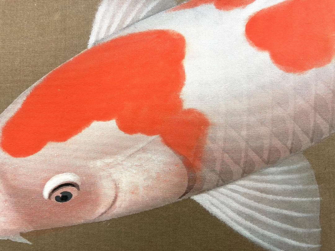 吉井英二「にしき鯉」掛軸 絹本 太巻き 共箱 二重箱