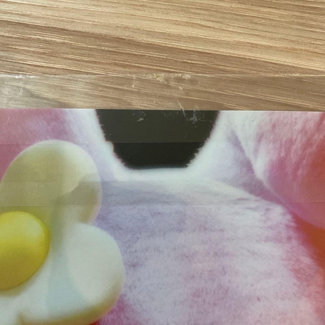 サンリオピューロランド　マイメロディ クリアファイル 2種セット