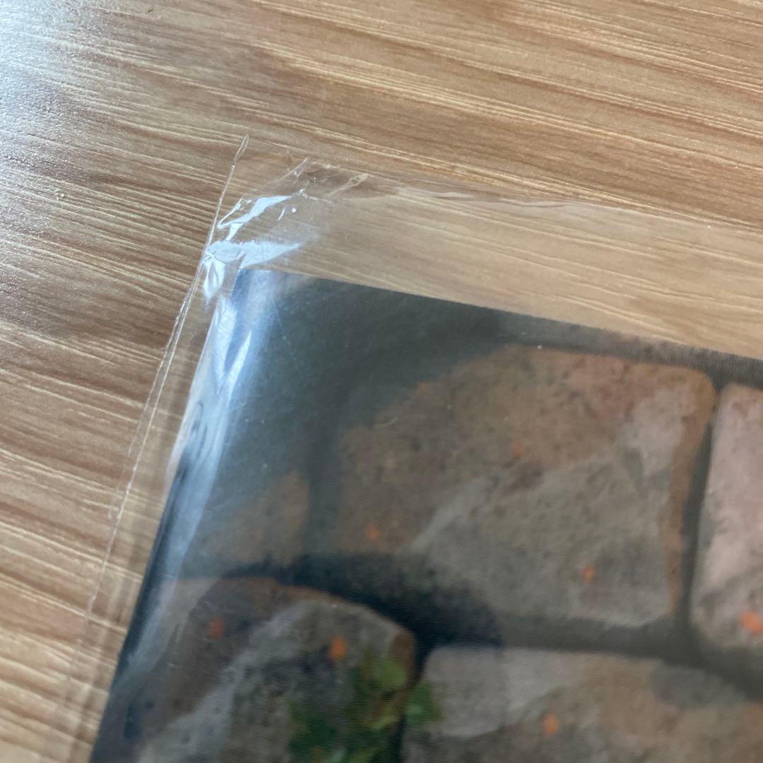 サンリオピューロランド　マイメロディ クリアファイル 2種セット