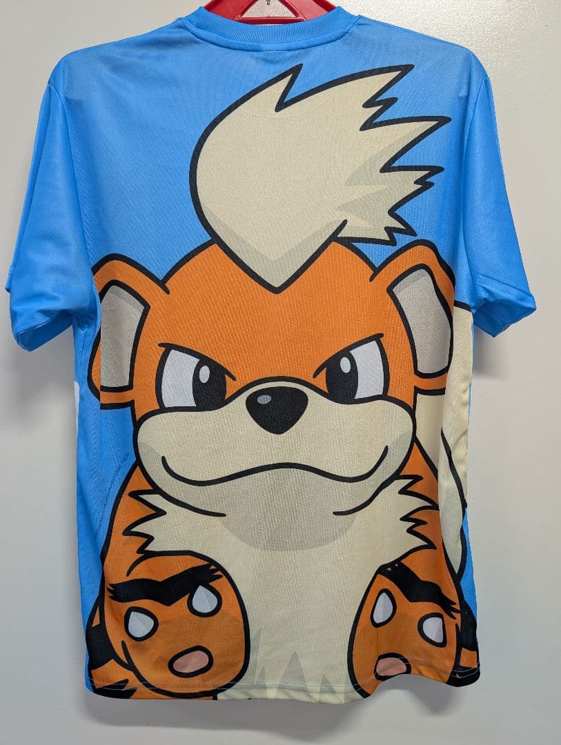 【日本初】2026あやはし海中ロードレース ポケモンラン メダル+Tシャツセット