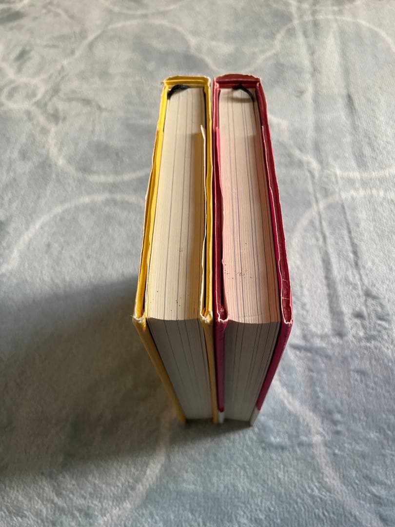 リアリティ・トランサーフィン2「願望実現の法則」