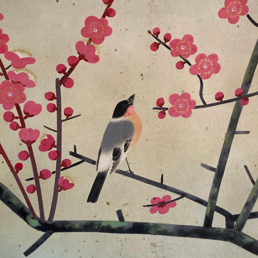 金島桂華「梅」38.4×45cm 2重箱　箱書き　紙本採色　豪華軸装　芸術院会員