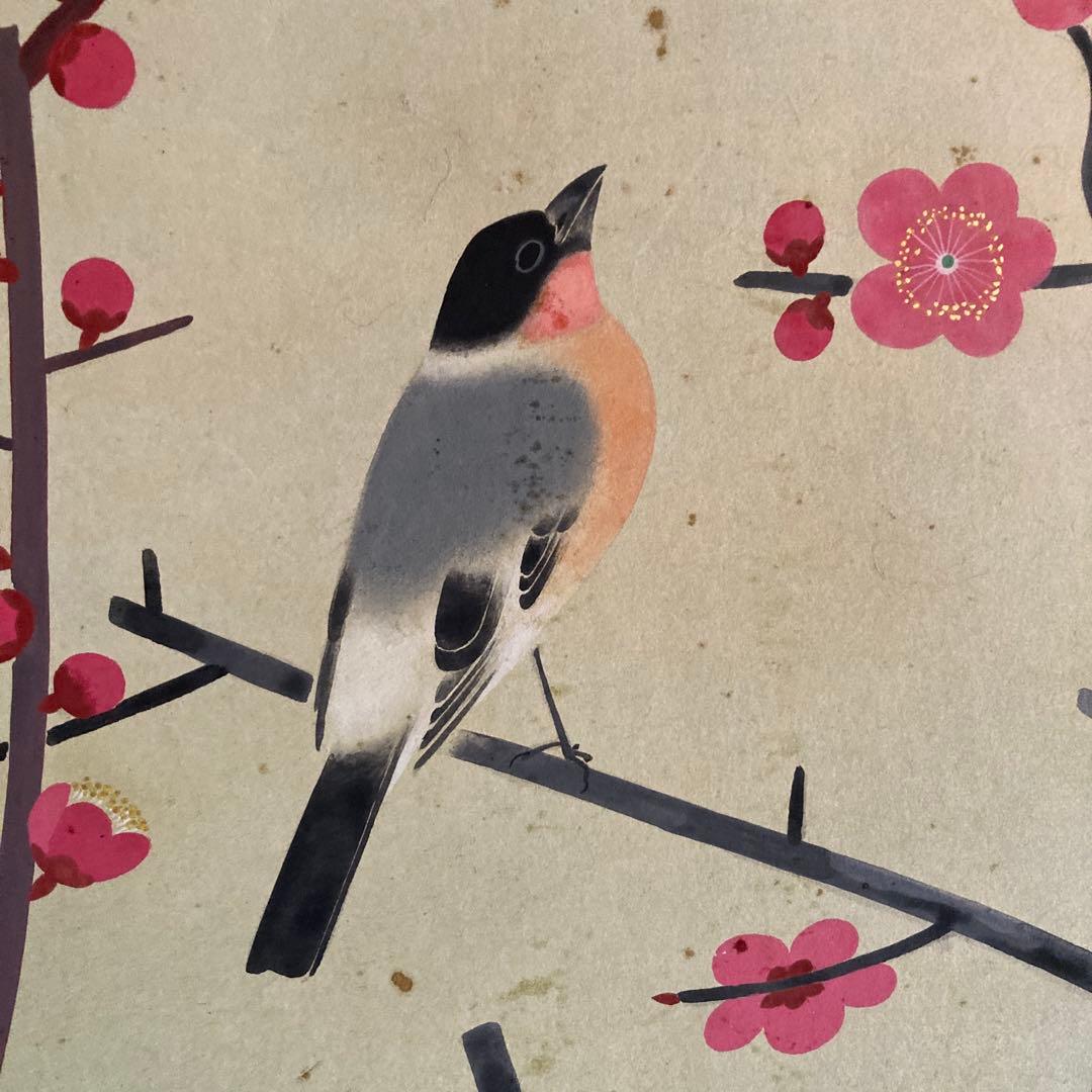 金島桂華「梅」38.4×45cm 2重箱　箱書き　紙本採色　豪華軸装　芸術院会員