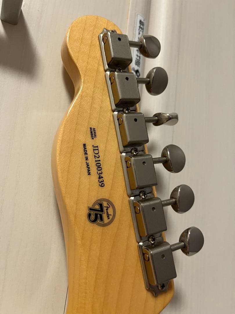 Fender オフセットテレキャスター(テレマスター)