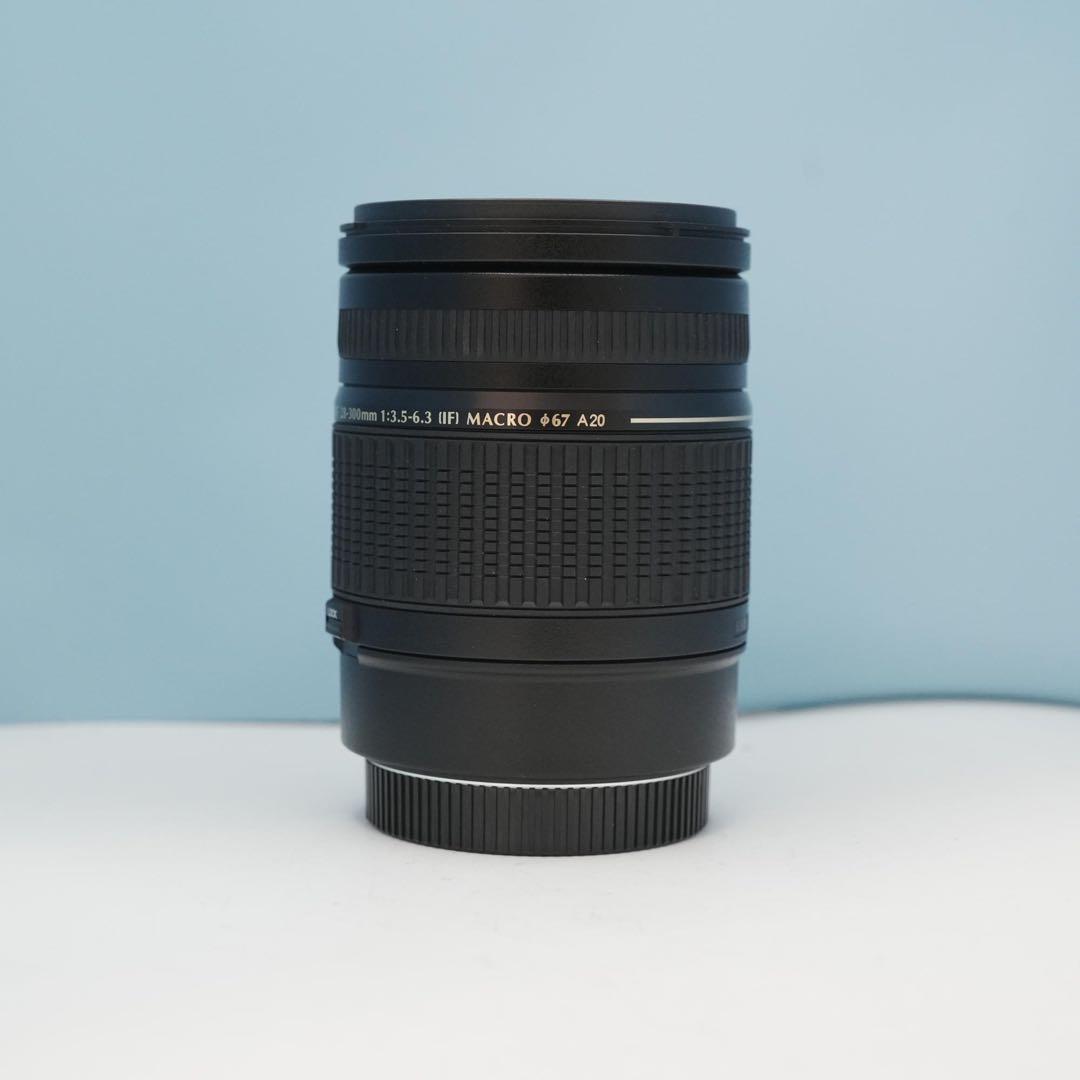 TAMRON Canon 28-300mm 標準+望遠レンズ 極美品 a4794