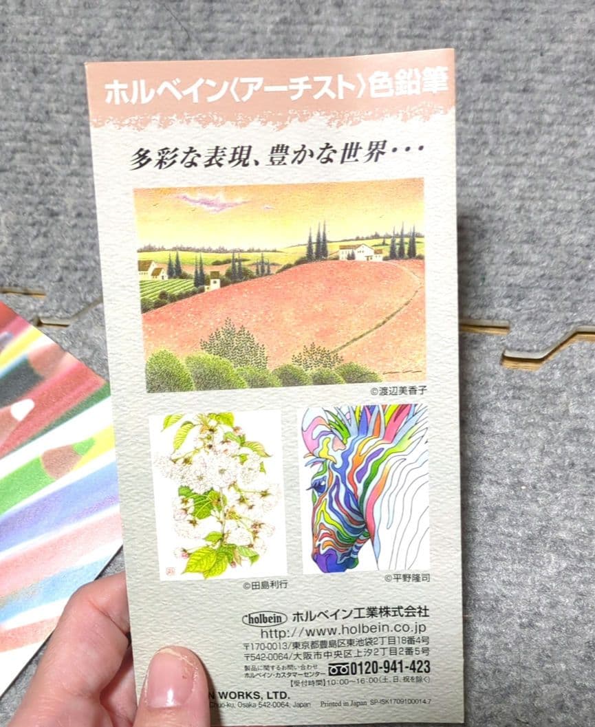 【今回だけ特別にお値下げ！】ホルベイン　色鉛筆