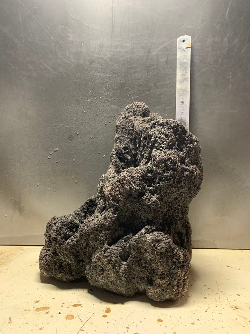 1[絶版]ADA雲山石★穴3個　水槽　石組　アクアリウム　レイアウト　熱帯魚