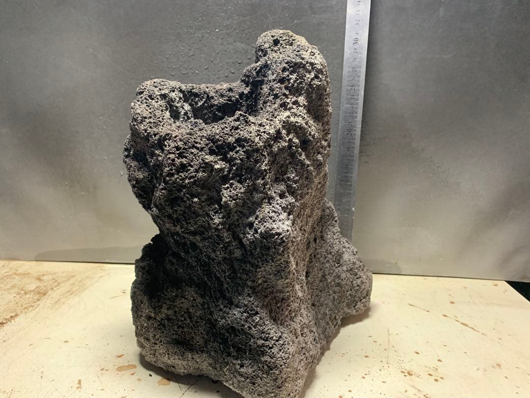 1[絶版]ADA雲山石★穴3個　水槽　石組　アクアリウム　レイアウト　熱帯魚