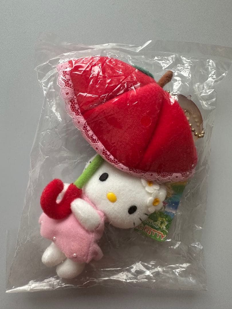 ミク高校入試 超効率 中学社会100+資料30 赤シート付ご当地キティ