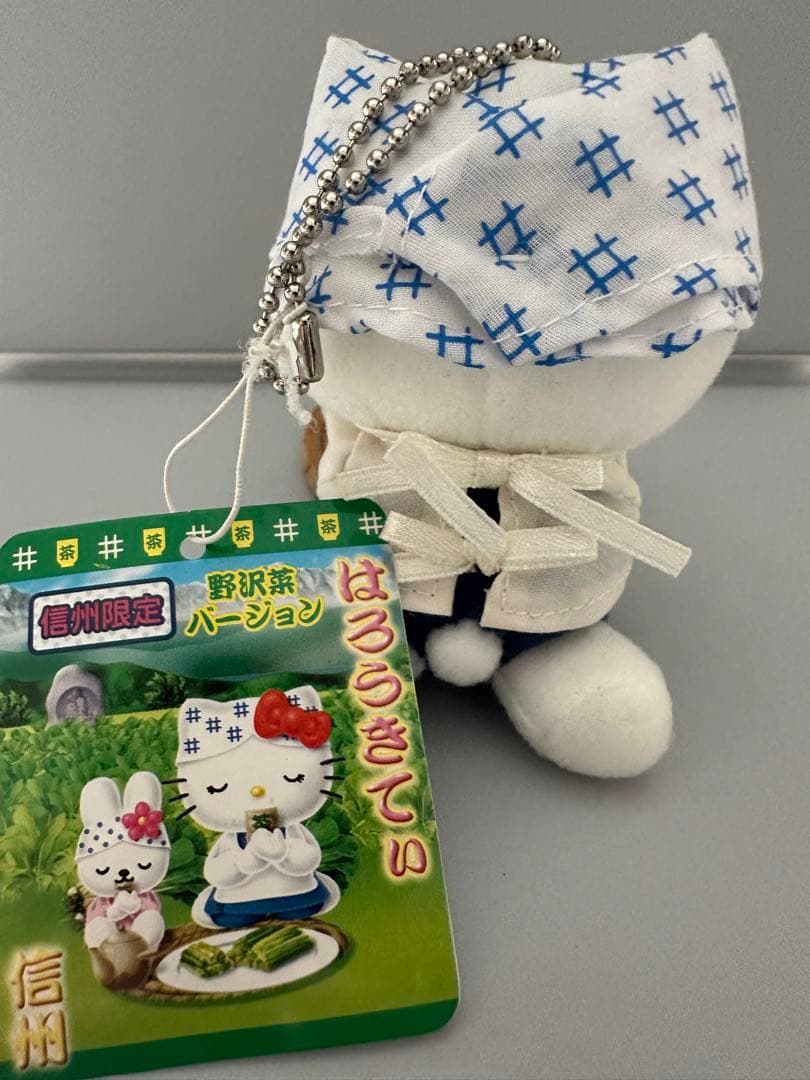 ミク高校入試 超効率 中学社会100+資料30 赤シート付ご当地キティ